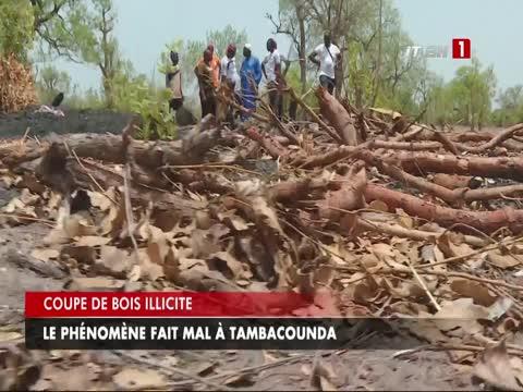 Journal Télévisé 13h du lundi 01 juil. 2024